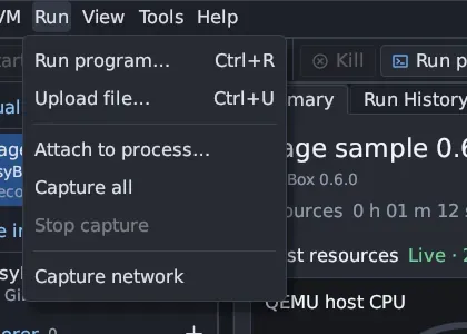 The Run menu open: Run program… Ctrl+R, Upload file… Ctrl+U, Attach to process…, Capture all, a greyed Stop capture, and Capture network.