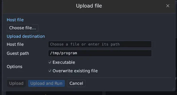 The Upload file dialog with Choose file…, Host file, Guest path /tmp/program, the Executable and Overwrite existing file options ticked, and Upload, Upload and Run and Cancel.